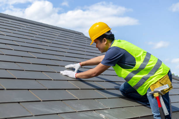 Roof Gutter Cleaning in Mendon, IL
